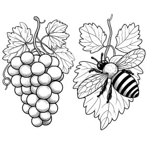 Tô màu Nho Và Con Ong cho bé tập tô