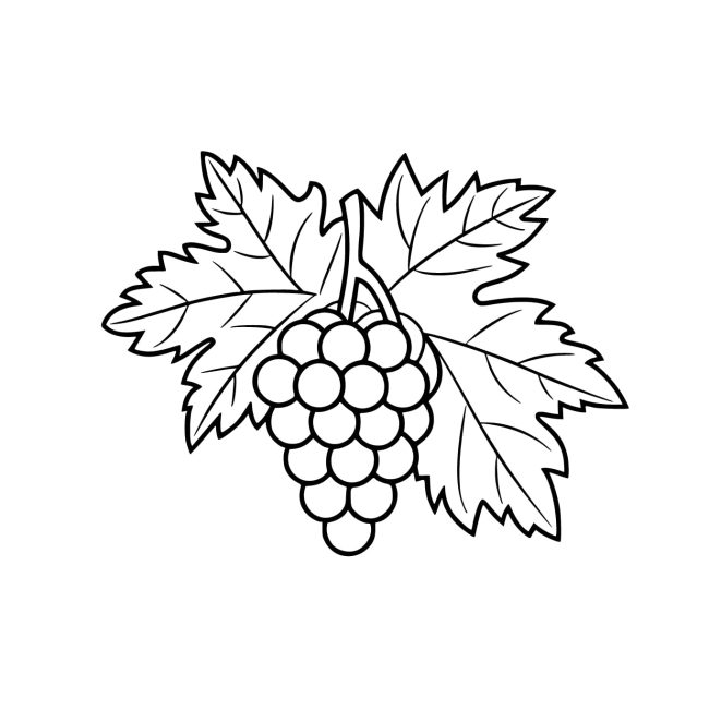Tô màu Nho Và Lá Lớn cho bé tập tô