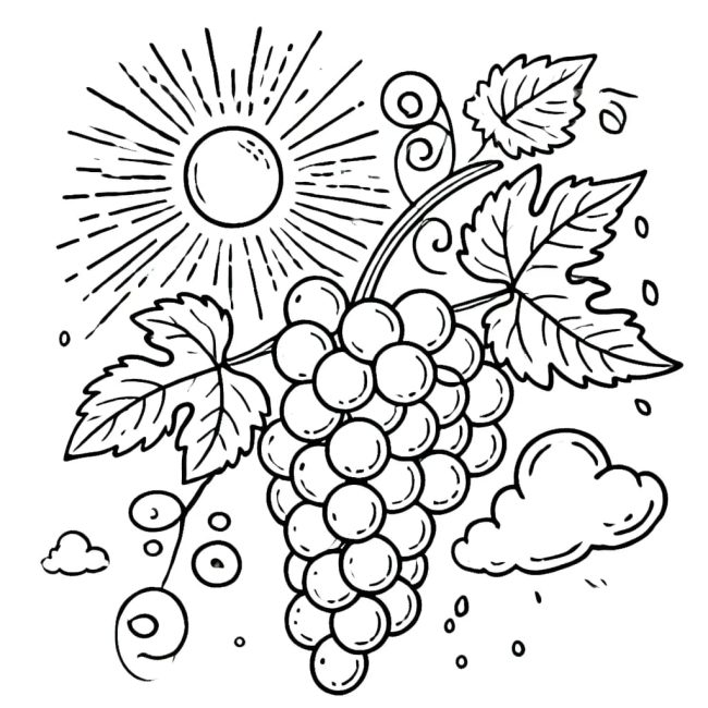 Tô màu Nho Và Mặt Trời cho bé tập tô