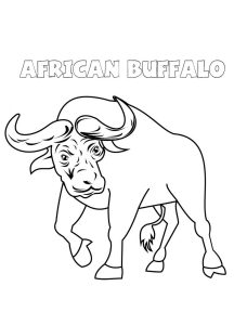 Tô màu Trâu Rừng Châu Phi giúp bé rèn luyện khả năng tô màu