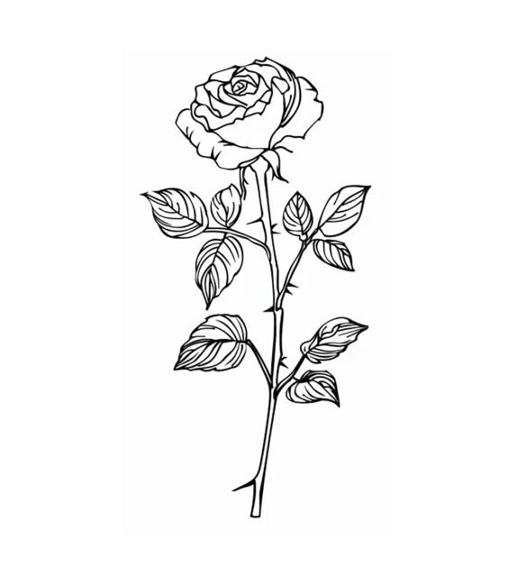 Tô màu Vẽ Hoa Hồng dễ thương cho bé